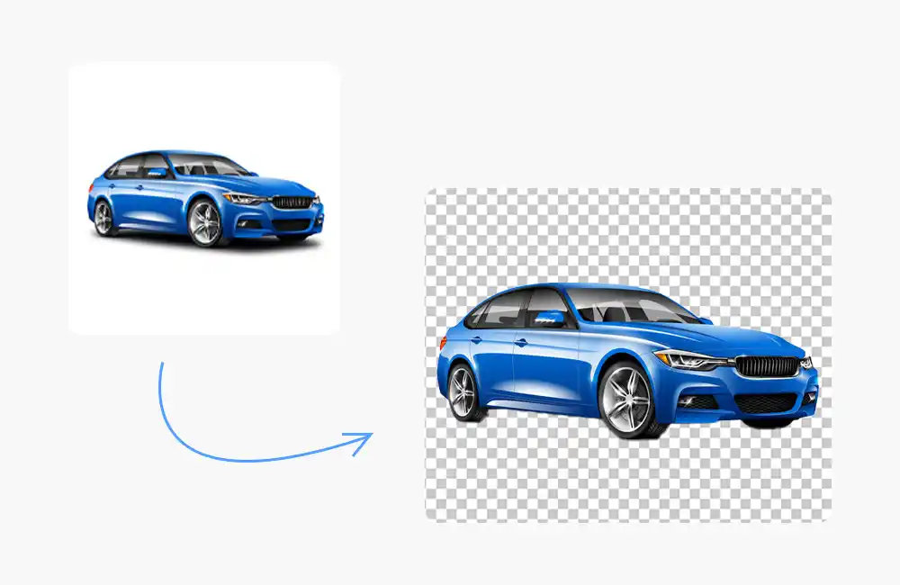 Vector