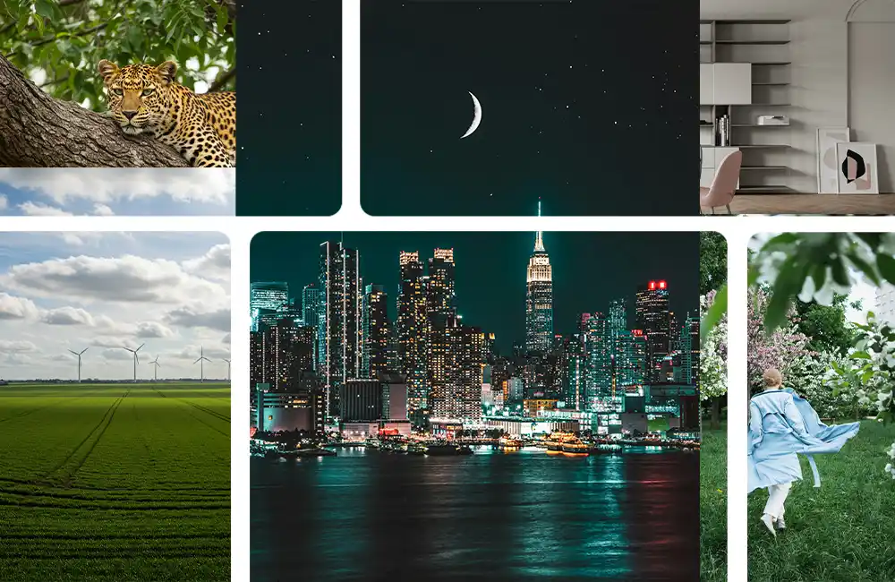 Images