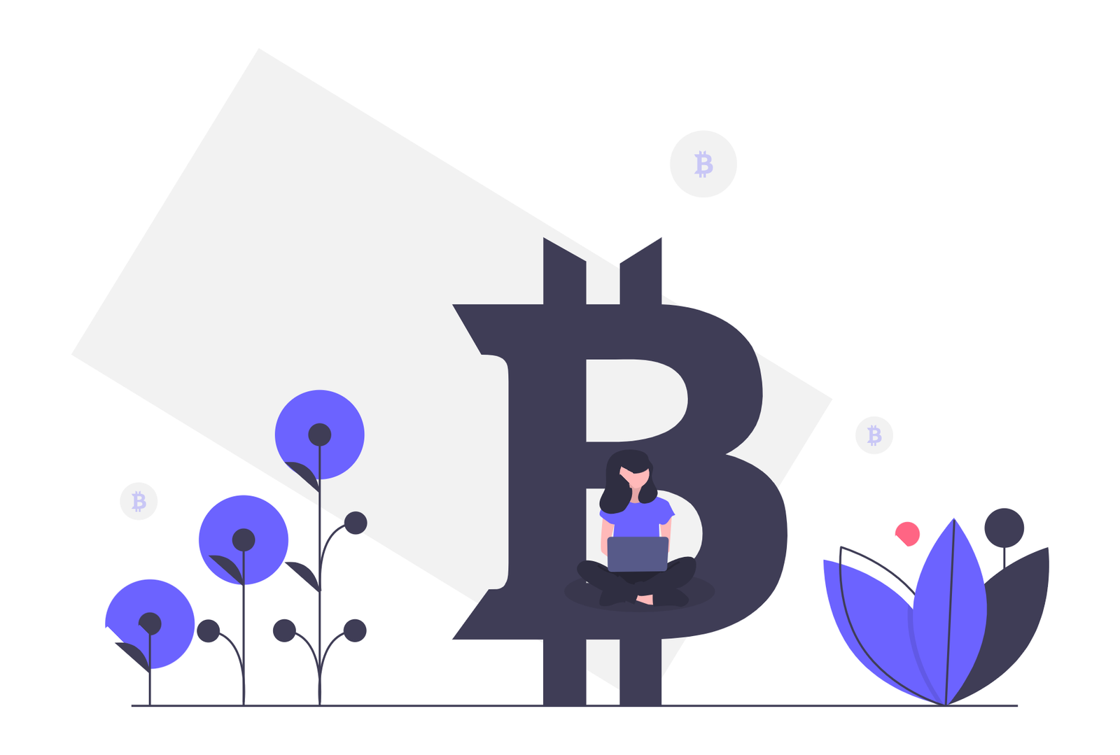 Woman Working On Laptop With Bitcoin Symbol In Flat Minimalist Style