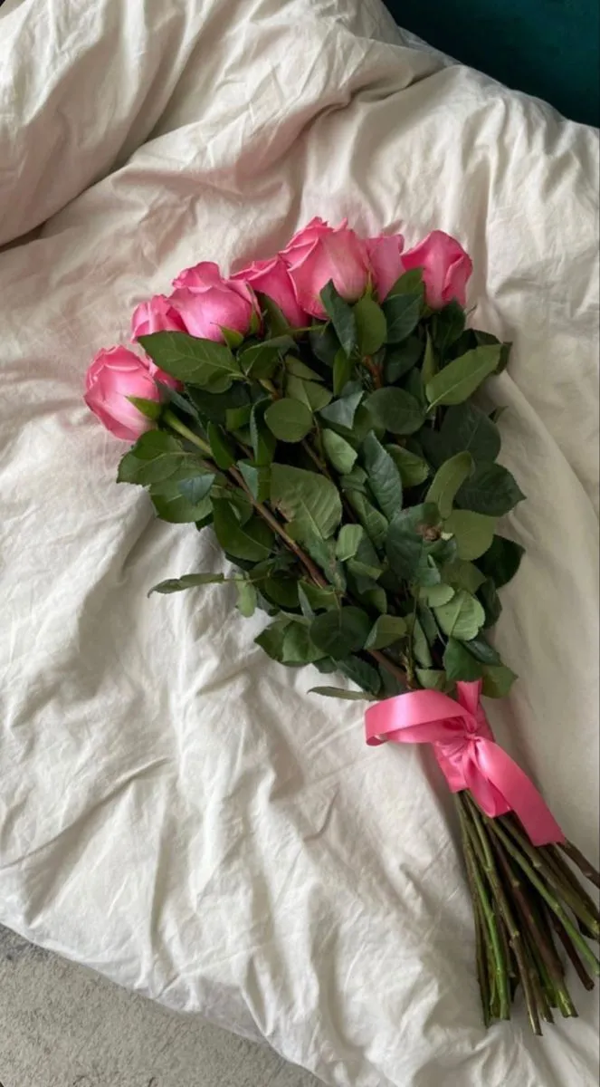 Pink roses