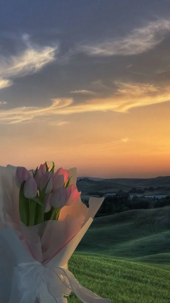 a bouquet of tulips wrapped in white paper with the sun setting behind them