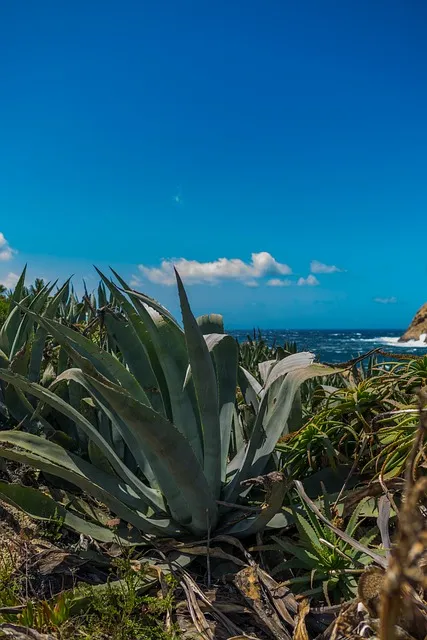 Free Nature Heaven photo and picture