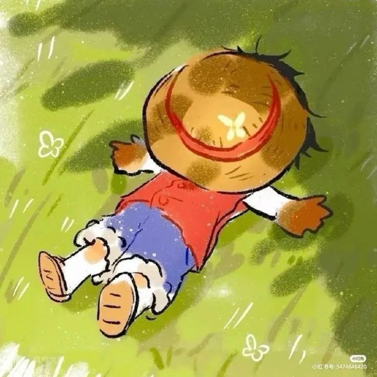 Luffy ☆