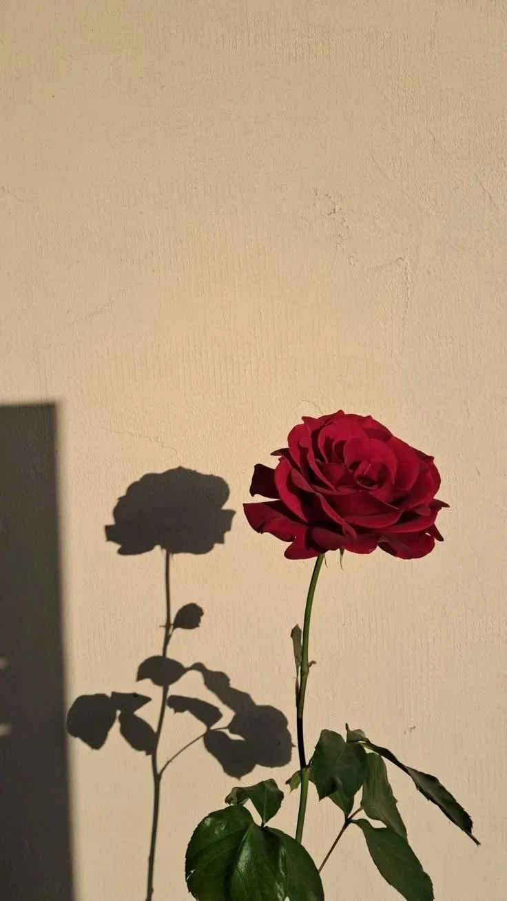 two red roses in a vase on a table with the shadow of a wall behind them