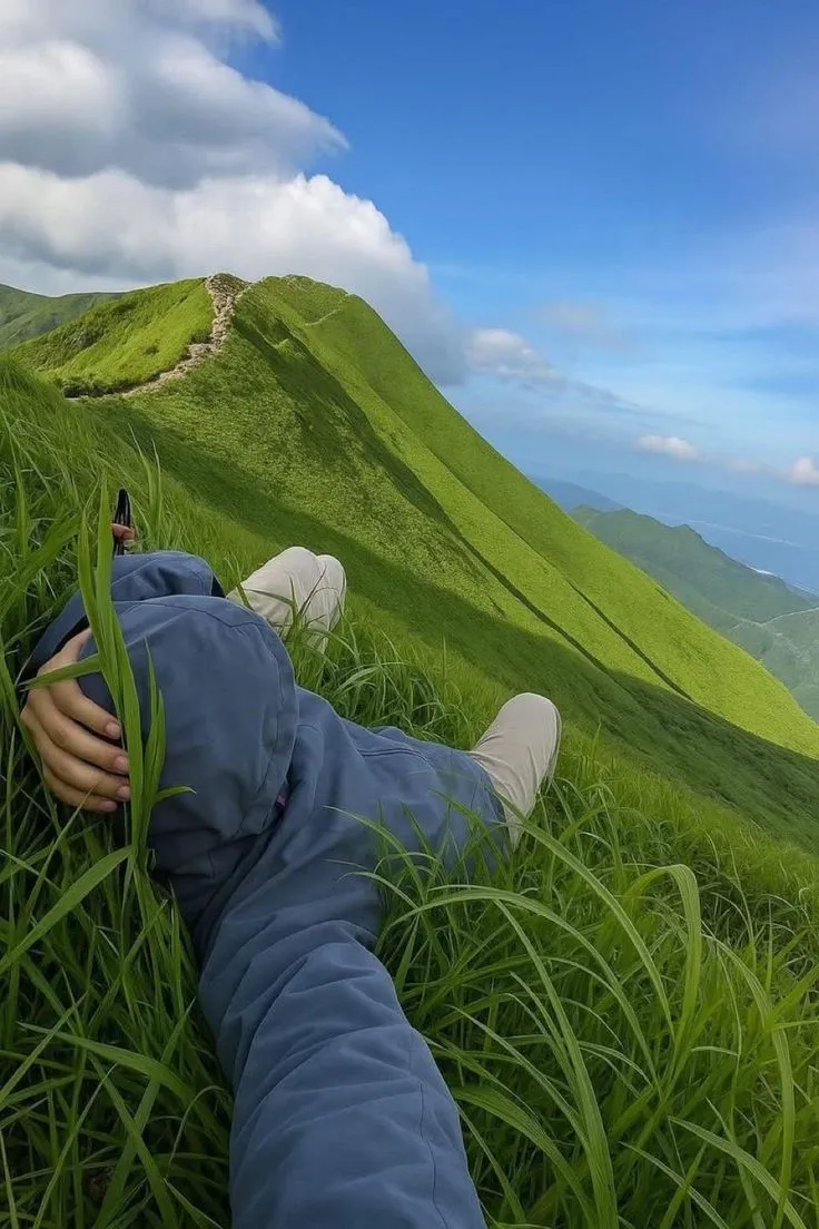 a person laying in the grass on top of a hill