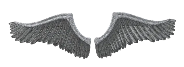 Free Wing Feathers illustration and picture