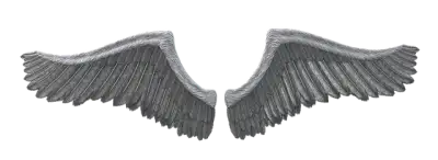 Free Wing Feathers illustration and picture