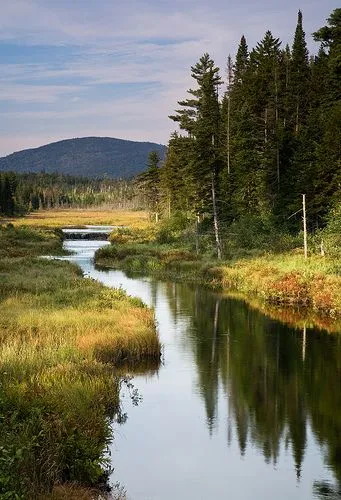 Riverbank Park: A New York Oasis