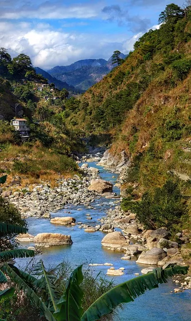 Free Wallpaper Scenic photo and picture