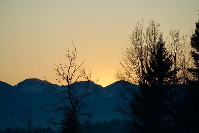 Free Silhouette Desktop Backgrounds photo and picture