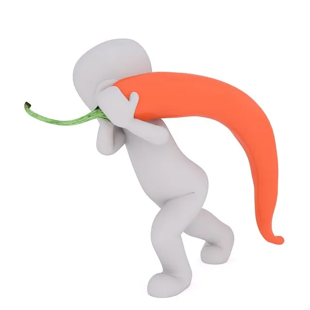 Free Purchasing Food illustration and picture