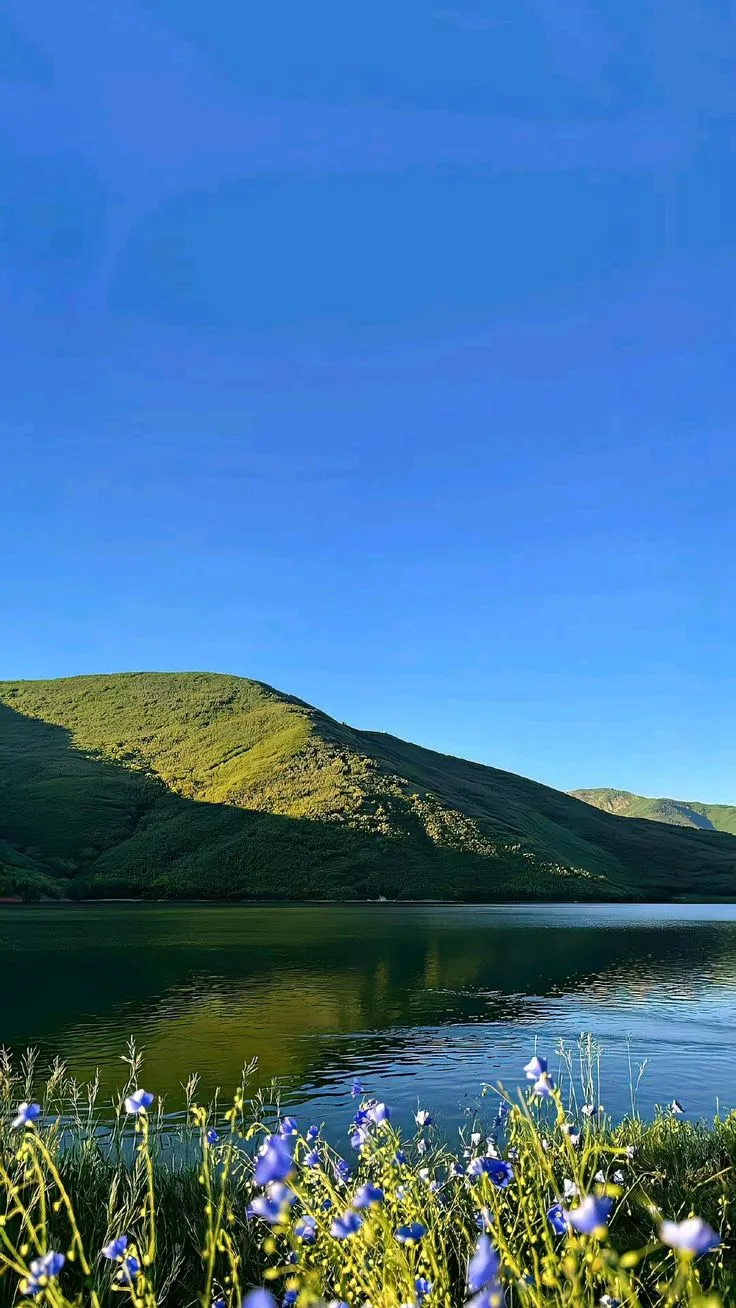 a lake surrounded by green hills and blue flowers in the foreground, under a clear blue sky