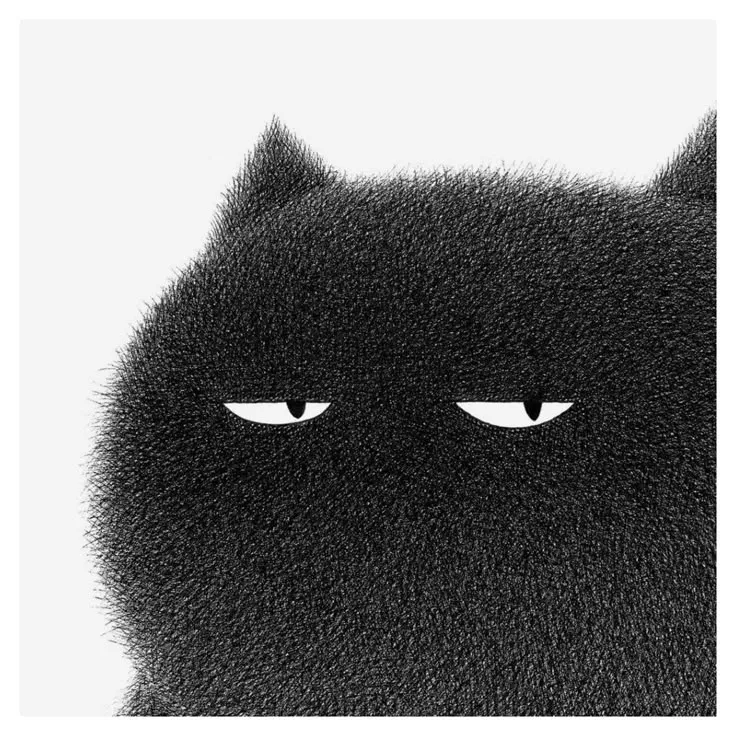 a black cat with white eyes and long fur