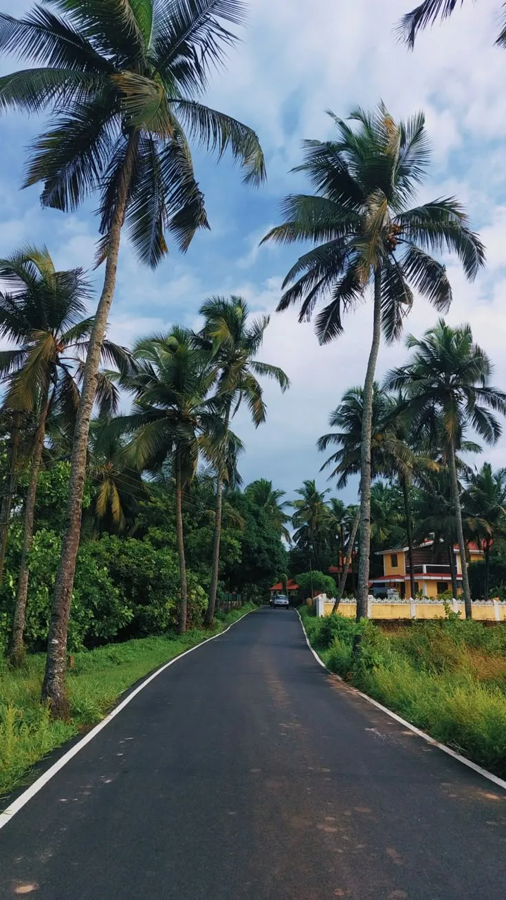 Not the Parra Road, but every road of Goa looks like this