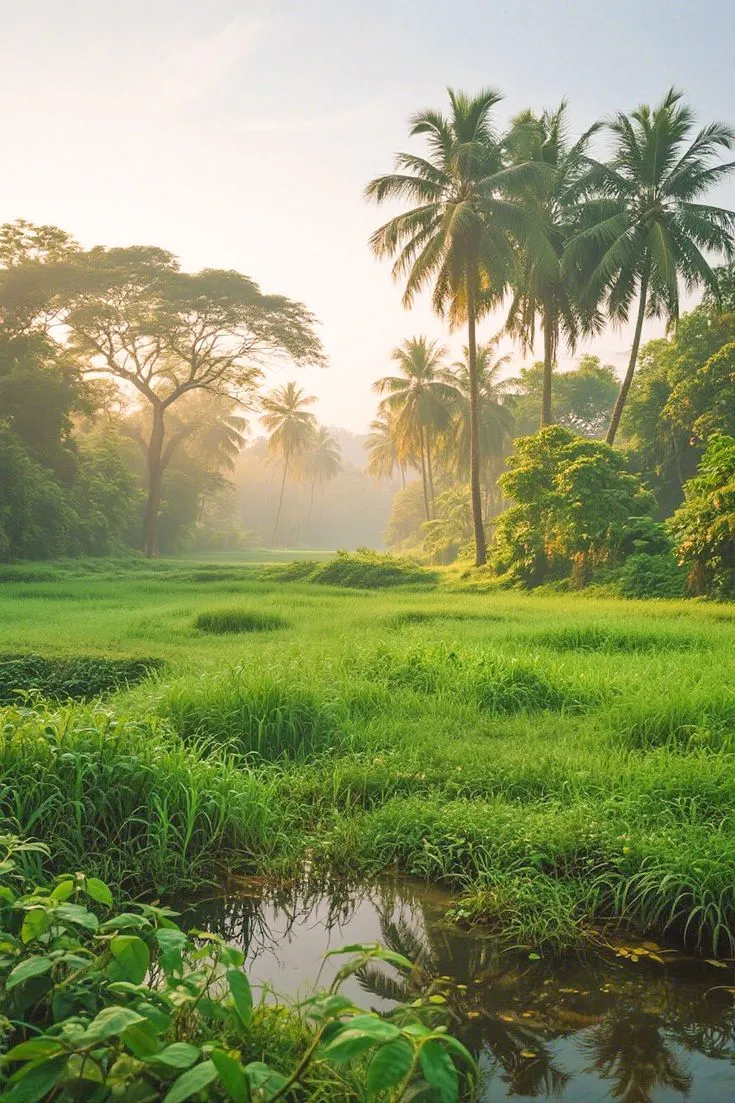 a lush green field with palm trees and water in the foreground, surrounded by tall grass