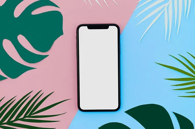 Free Iphone Smartphone photo and picture