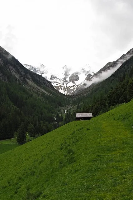 Free Valley Mobile Wallpaper photo and picture