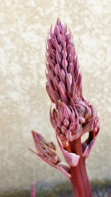 Free Nature Beautiful Wallpaper photo and picture