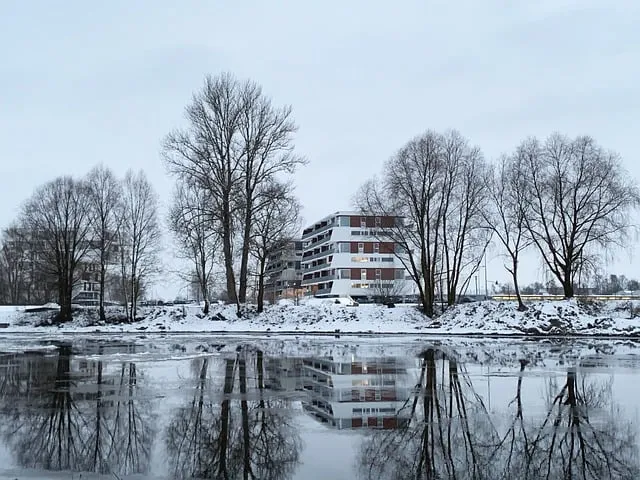 Free Winter Reflections photo and picture
