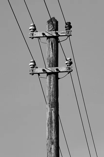 Free Power Pole Electricity photo and picture