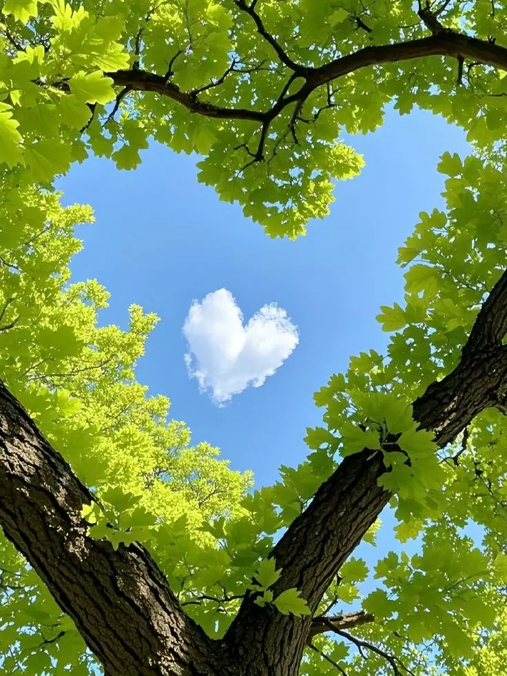 the heart shaped tree is surrounded by green leaves