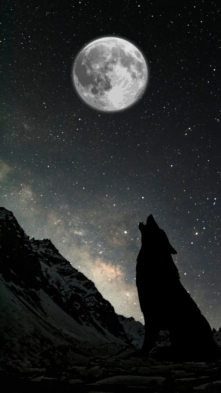 fond d'écran Loup avec lune 🌙🐺