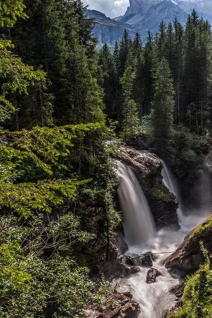 Free Waterfall Nature photo and picture