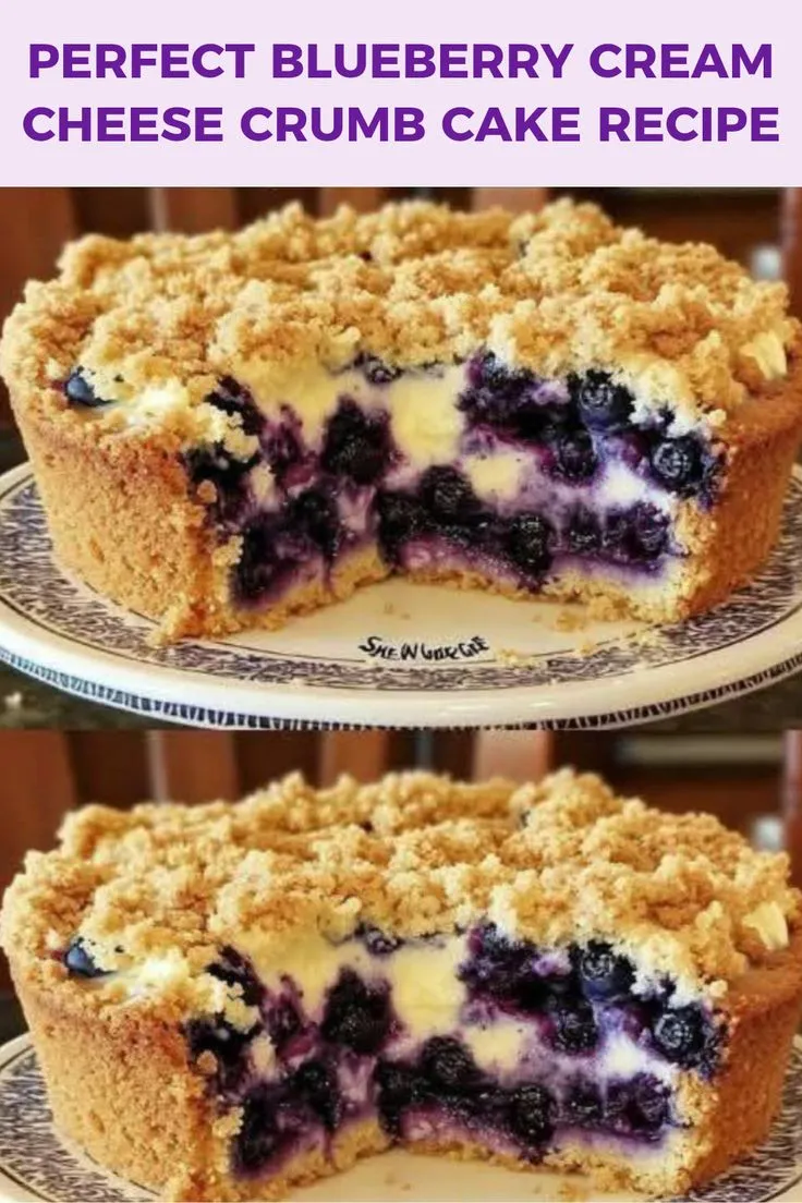 Perfect Blueberry Cream Cheese Crumb Cake Recipe