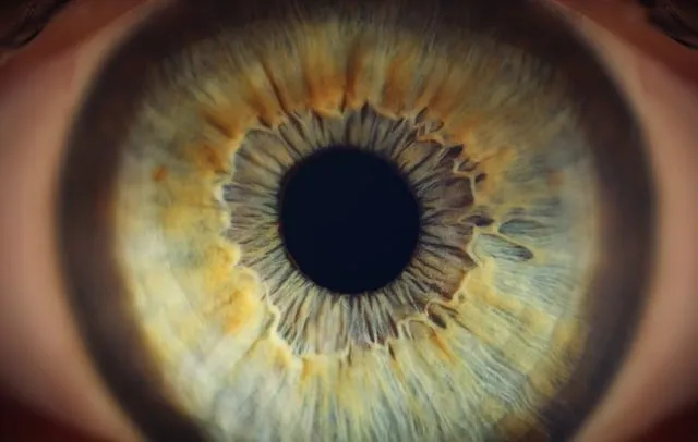 Free Eye Human photo and picture