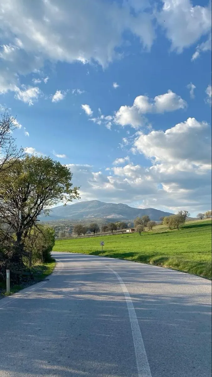an empty road with trees on both sides and rolling hills in the distance, under a partly cloudy blue sky