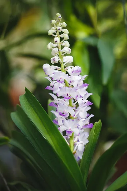 Free Natural Pure photo and picture