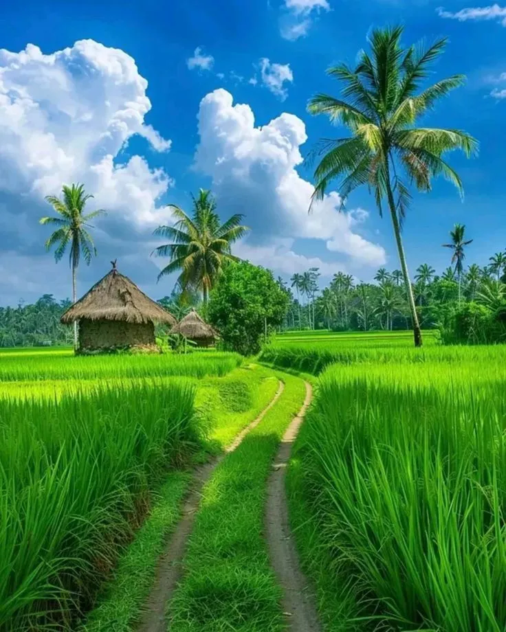 a lush green field with palm trees and a hut in the middle, surrounded by tall grass