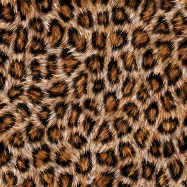 Free Leopard Fur illustration and picture