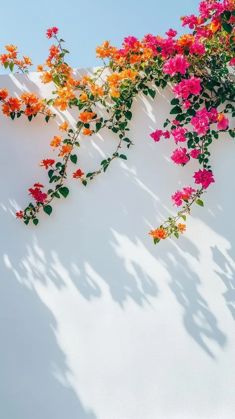 pink and orange flowers growing on the side of a white wall