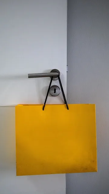 Free Shopping Bag photo and picture