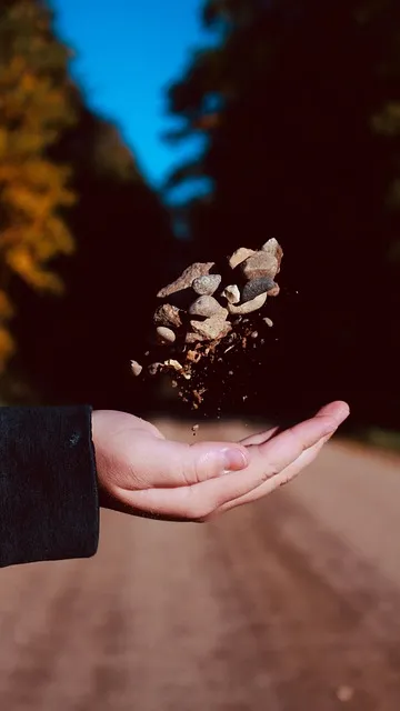 Free Rocks Throwing Rocks photo and picture