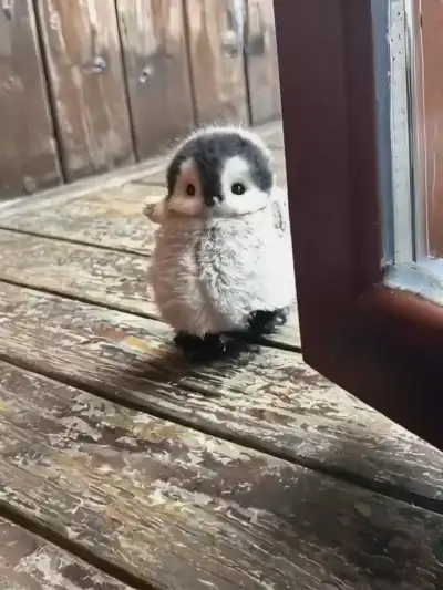 My Realistic Penguin