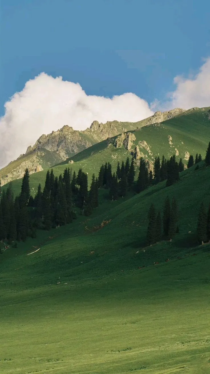 two horses grazing in a green field with mountains in the background and clouds in the sky