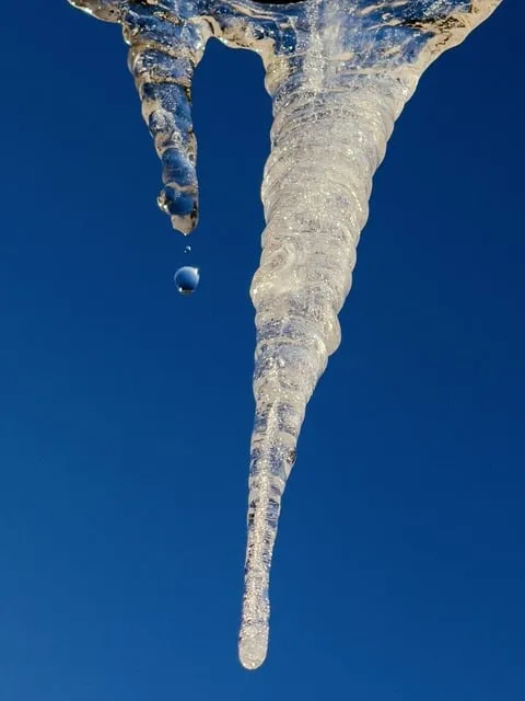 Free Icicle Ice photo and picture