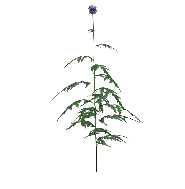 Free Flower 3D illustration and picture