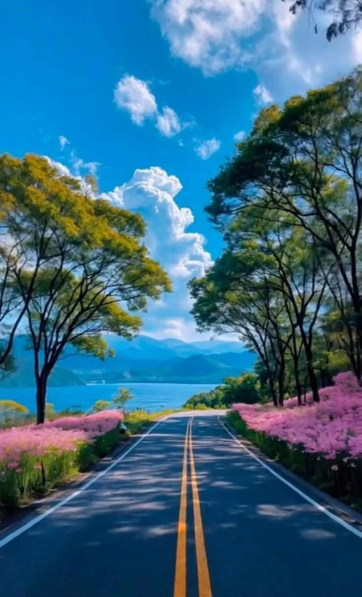 an empty road with trees and flowers on both sides in front of the water, surrounded by blue skies