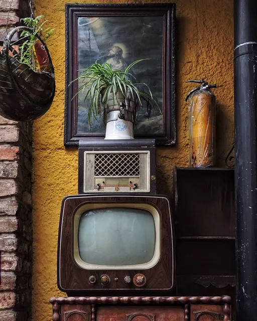 Free Vintage Bogota photo and picture