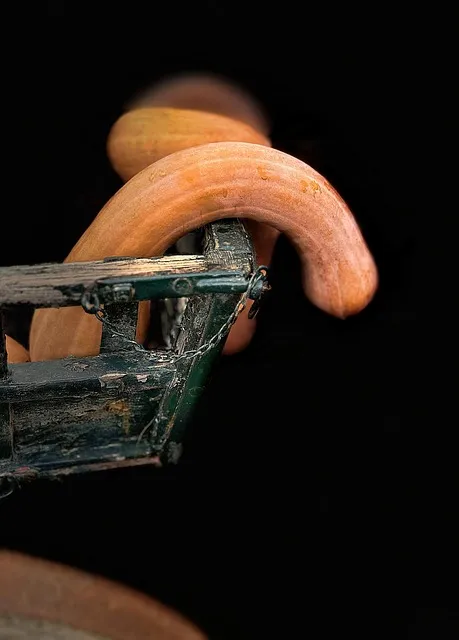 Free Squash Mobile Wallpaper photo and picture