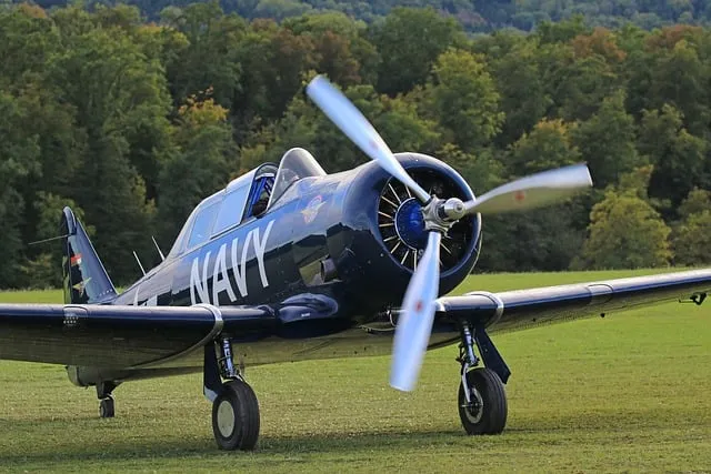 Free Warbird Fighter Plane photo and picture