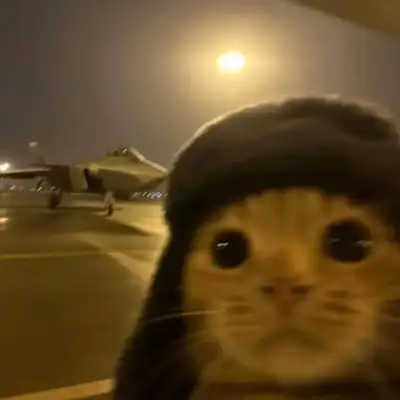 .  . . #catmeme #cat #yellingatcatz #silly #sillycat #catsofinstagram #blackcat #catlife #foodcat #catlover #catsonly #funny #catfunnyday