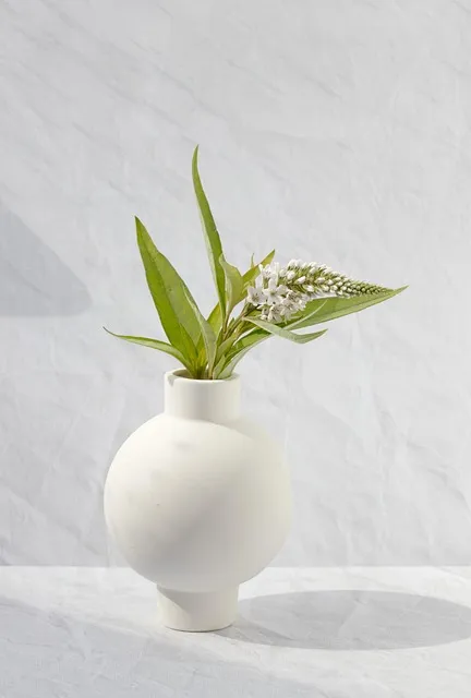 Free Vase Blume photo and picture
