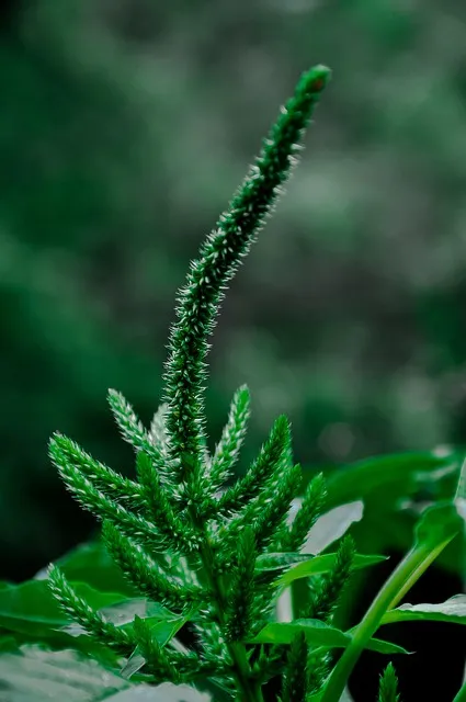 Free Wallpaper Beautiful Wallpaper photo and picture