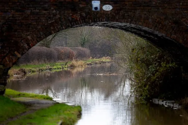 Free Canal Winter photo and picture