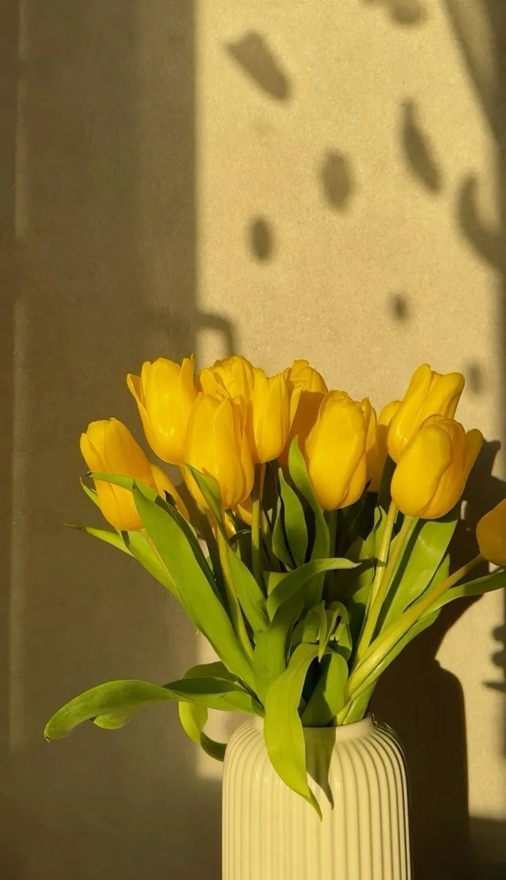 yellow tulips are in a white vase with green leaves and shadows on the wall