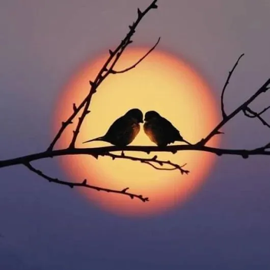 Cartões para dia dos Namorados.